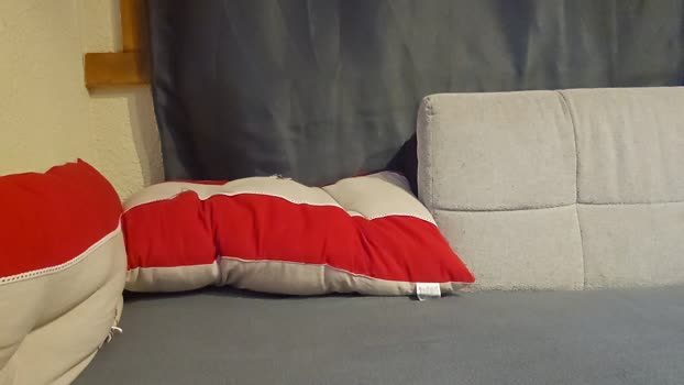 cocoflafy cute Webcam SHOW @ Cam4 08-01-2026