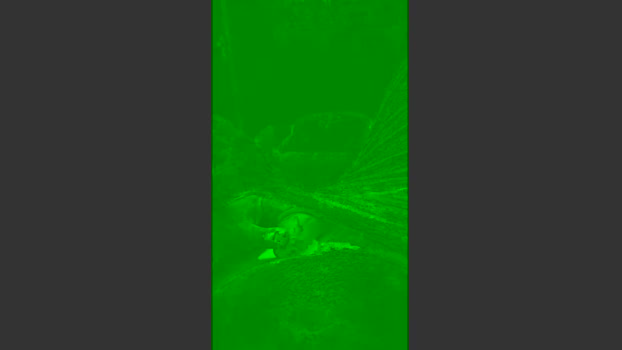Brancomineiro suckcock Webcam SHOW @ Cam4 09-01-2026
