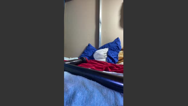 A1caponi lush Webcam SHOW @ Cam4 10-01-2026