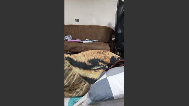 Alzir55 sexykitty Webcam SHOW @ Cam4 09-01-2026
