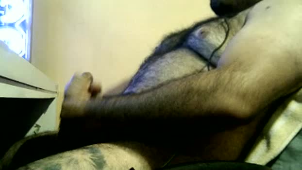 Bearr333