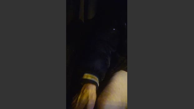axelblows blowjob Webcam SHOW @ Cam4 10-01-2026