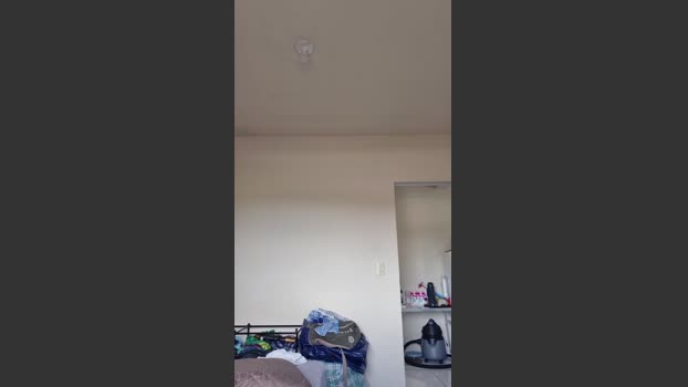 Gampet lovense Webcam SHOW @ Cam4 12-01-2026