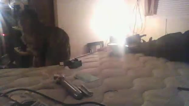Littleguy25 ass Webcam SHOW @ Cam4 12-01-2026
