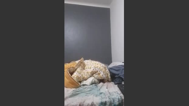masterhight sexymale Webcam SHOW @ Cam4 12-01-2026