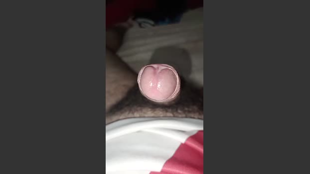 Ariel5226