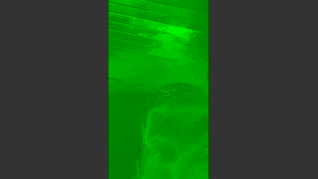 Caua82882 natural Webcam SHOW @ Cam4 12-01-2026