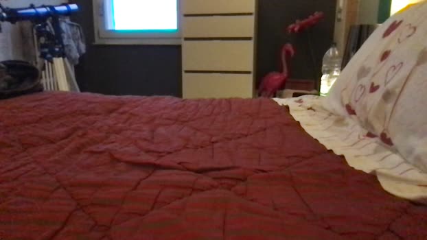 mattiapxxx lick Webcam SHOW @ Cam4 12-01-2026