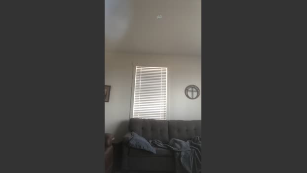 Thundersage25 analtoy Webcam SHOW @ Cam4 13-01-2026