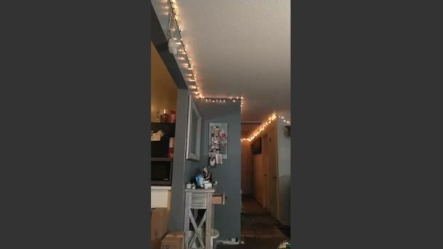 bradcjr sexymale Webcam SHOW @ Cam4 14-01-2026