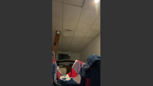 ClayMorris94 bicurious Webcam SHOW @ Cam4 14-01-2026
