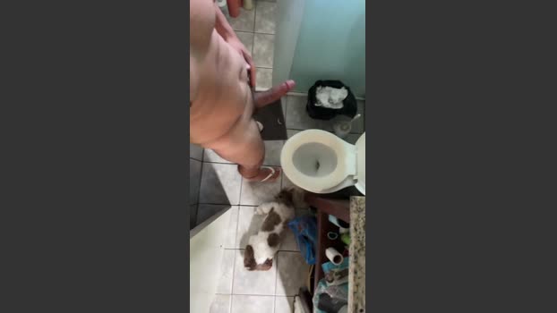 Ursinhao bigcock Webcam SHOW @ Cam4 15-01-2026