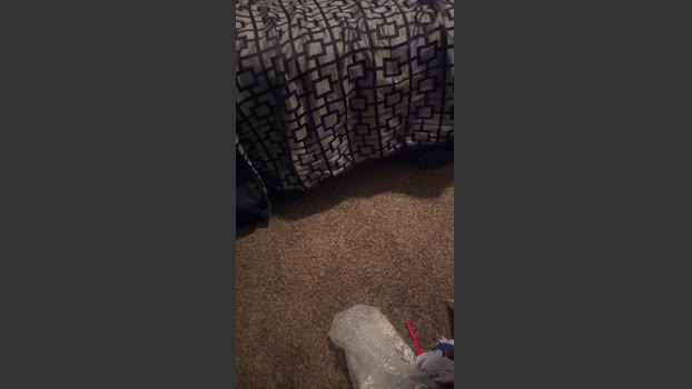 NastyBesties strip Webcam SHOW @ Cam4 16-01-2026