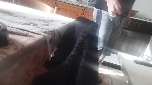 Sergio80_ spank Webcam SHOW @ Cam4 16-01-2026