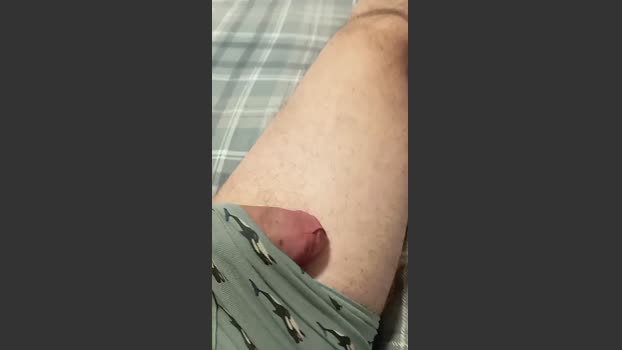 pollos1999hot23 lush Webcam SHOW @ Cam4 16-01-2026