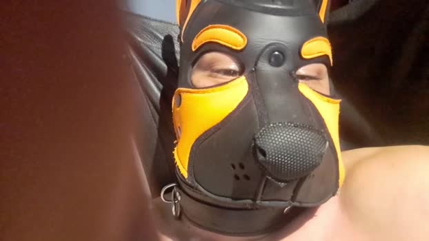 PupBruto