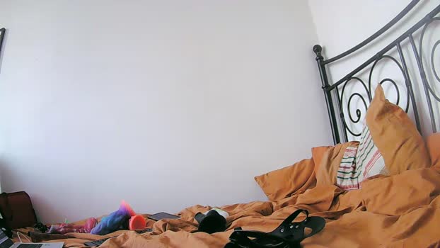 foxyanal hardcore Webcam SHOW @ Cam4 17-01-2026