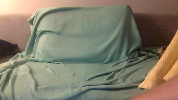 thomas448 sex Webcam SHOW @ Cam4 17-01-2026
