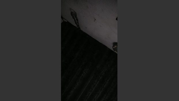 O_GHOST kinky Webcam SHOW @ Cam4 17-01-2026