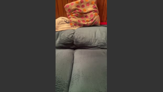 yannou750hot analtoy Webcam SHOW @ Cam4 18-01-2026