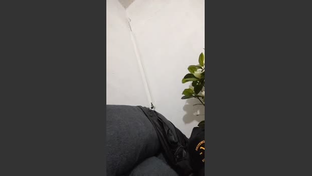 Espolon kink Webcam SHOW @ Cam4 20-01-2026