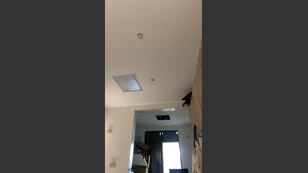 Stailers hot Webcam SHOW @ Cam4 20-01-2026