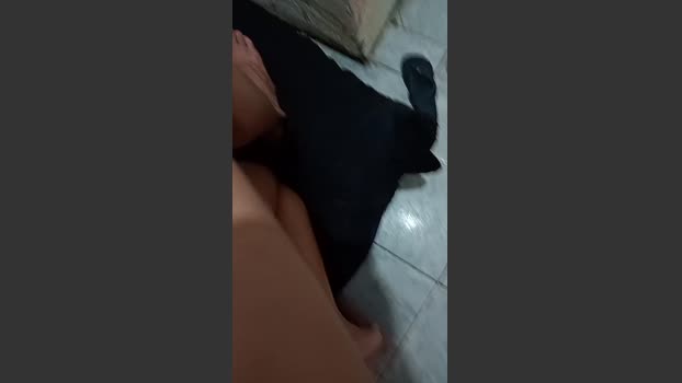 Casalzinho571 play Webcam SHOW @ Cam4 21-01-2026