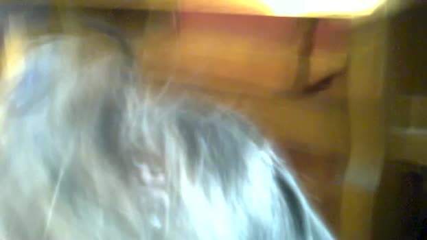 molliger59 ass Webcam SHOW @ Cam4 21-01-2026