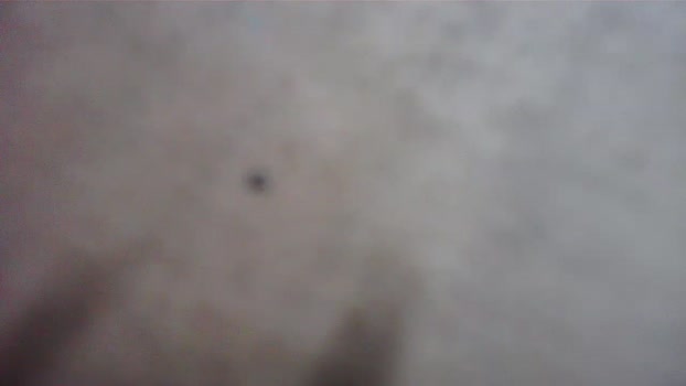 Bigtoyguy34 jerking Webcam SHOW @ Cam4 21-01-2026