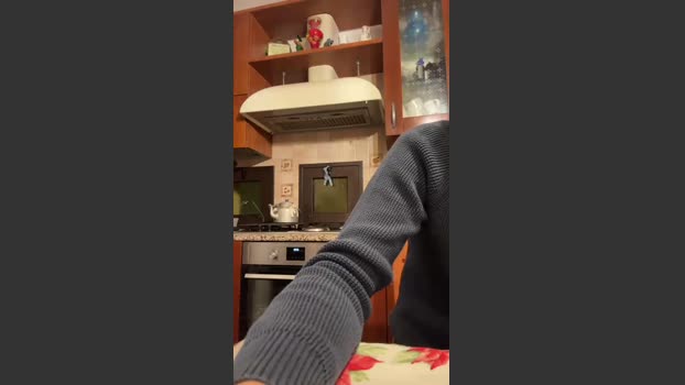 Alerunner_ prettyface Webcam SHOW @ Cam4 22-01-2026