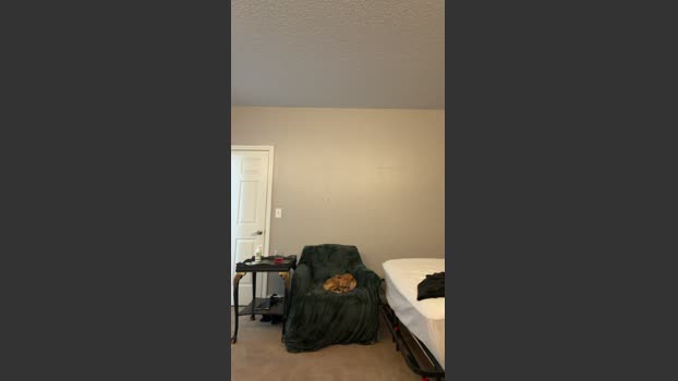 hoodboyjay251 beauty Webcam SHOW @ Cam4 23-01-2026