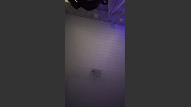 AurumDanLive_