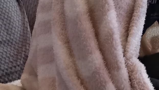 DutchWolf analsex Webcam SHOW @ Cam4 24-01-2026