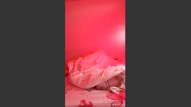 TradicionCANERA kiss Webcam SHOW @ Cam4 26-01-2026