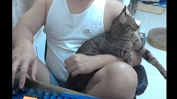 lQAQl sexykitty Webcam SHOW @ Cam4 26-01-2026