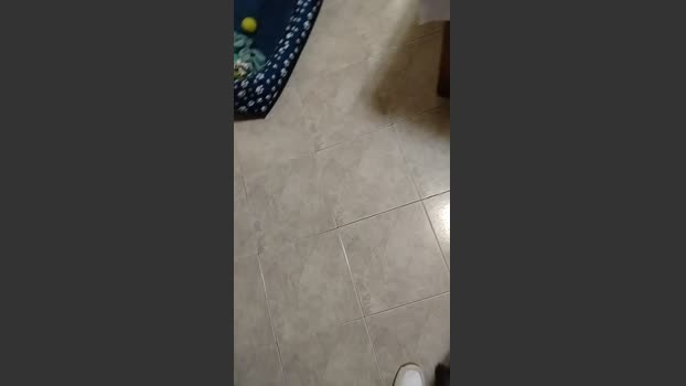 Mirko843