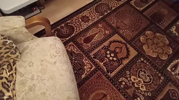 weed_whacker Porn Webcam SHOW @ Cam4 27-01-2026