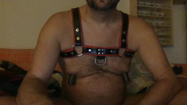 saubear2 lovense Webcam SHOW @ Cam4 29-01-2026
