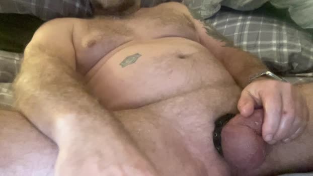 BeardedBarber jerkoff Webcam SHOW @ Cam4 29-01-2026