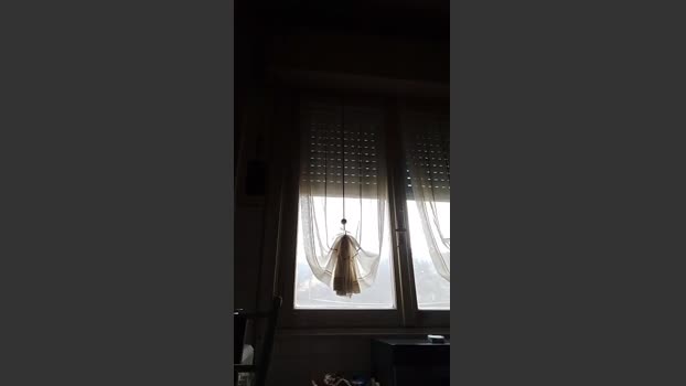BelporkoGEnova analsex Webcam SHOW @ Cam4 30-01-2026