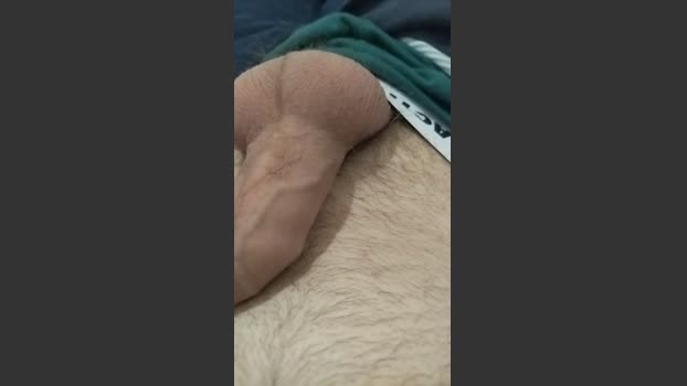 Reeflo sexymale Webcam SHOW @ Cam4 30-01-2026