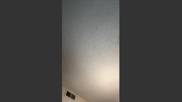 Coyote7979 analsex Webcam SHOW @ Cam4 30-01-2026