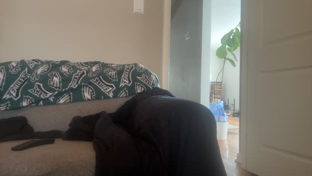StudlyHardwood deep Webcam SHOW @ Cam4 31-01-2026