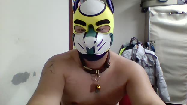 chiz8 toy Webcam SHOW @ Cam4 30-01-2026