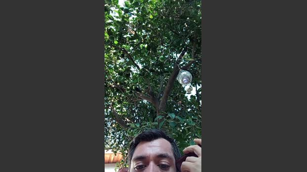 mauriandresver1 love Webcam SHOW @ Cam4 30-01-2026