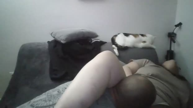 couple_love02 analtoy Webcam SHOW @ Cam4 31-01-2026