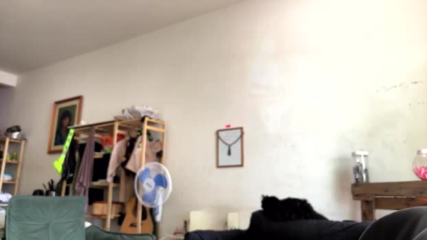 gerson229 skinny Webcam SHOW @ Cam4 31-01-2026