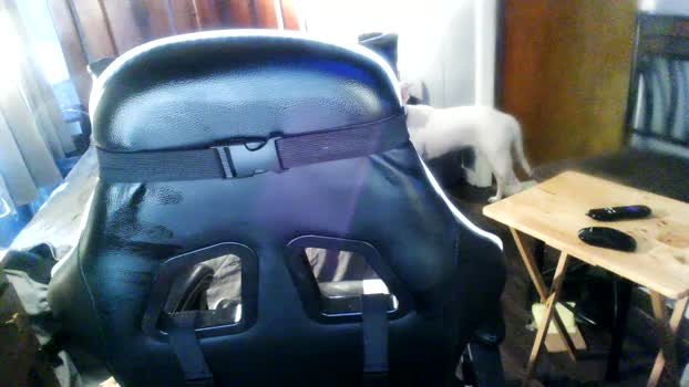 hardfun744 Show Webcam SHOW @ Cam4 31-01-2026