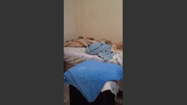 raul4396624 bigdick Webcam SHOW @ Cam4 01-02-2026