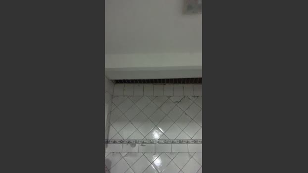 servasluan Nude Webcam SHOW @ Cam4 01-02-2026